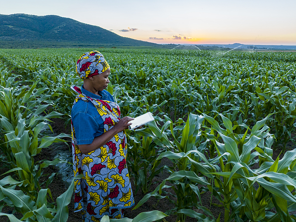 agri-business loans