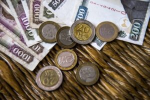 Business Loans in Thika