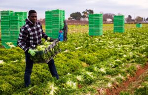 Agribusiness loans in Nairobi