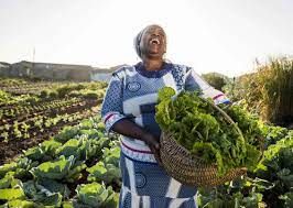 Business Loans in Nyeri