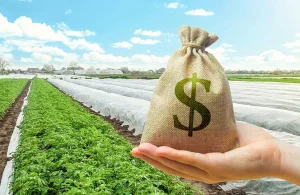 agricultural loans in kenya